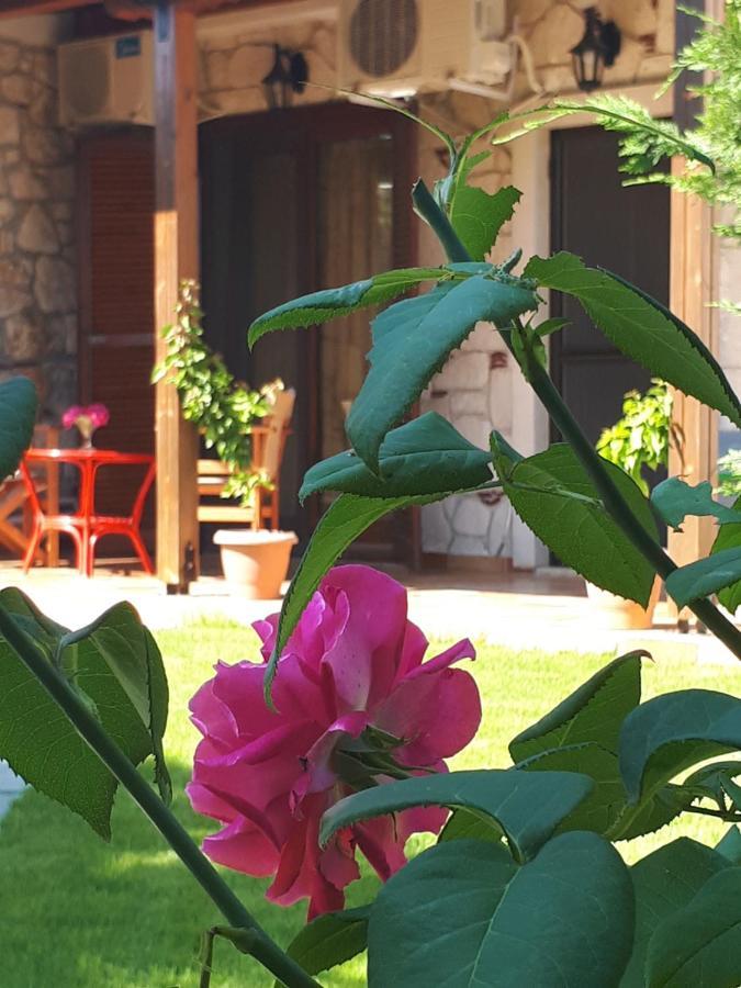 Villa George Afytos Ngoại thất bức ảnh