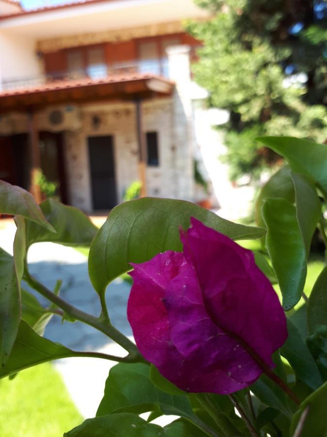 Villa George Afytos Ngoại thất bức ảnh